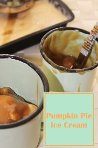 Pumpkin Pie Ice Cream topped with pecan praline sauce
